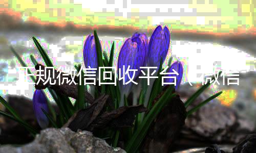 正规微信回收平24小时收微信靠谱回收台（微信回收平台联系方式）